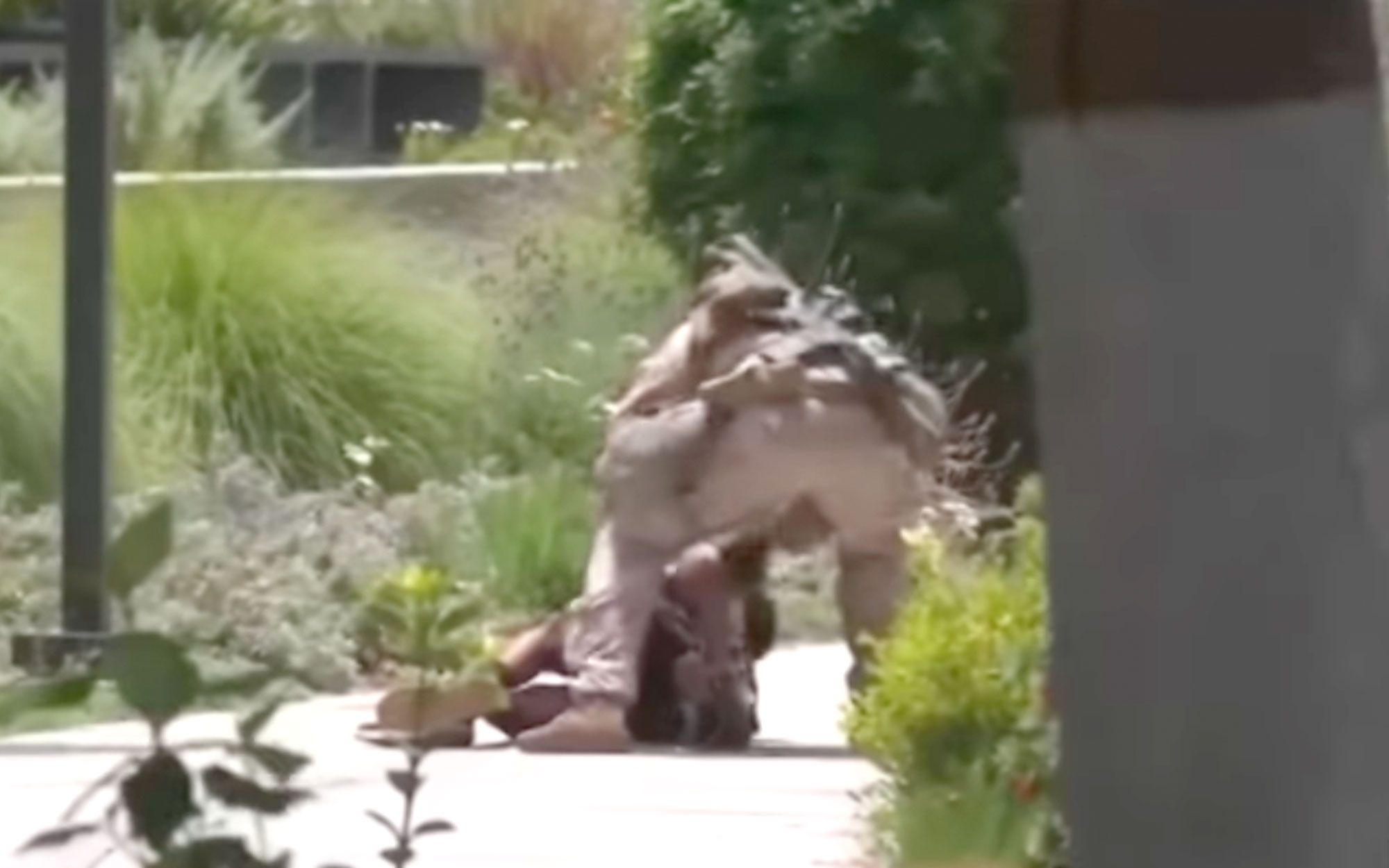 U.S. Marines Restore Order in L.A. Detaining Civilian in First Such Case [WATCH]