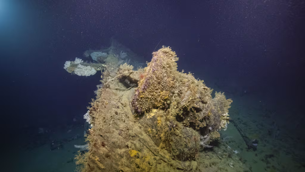 Lost No More: Undersea Team Discovers Bow of USS New Orleans, Lost in WWII