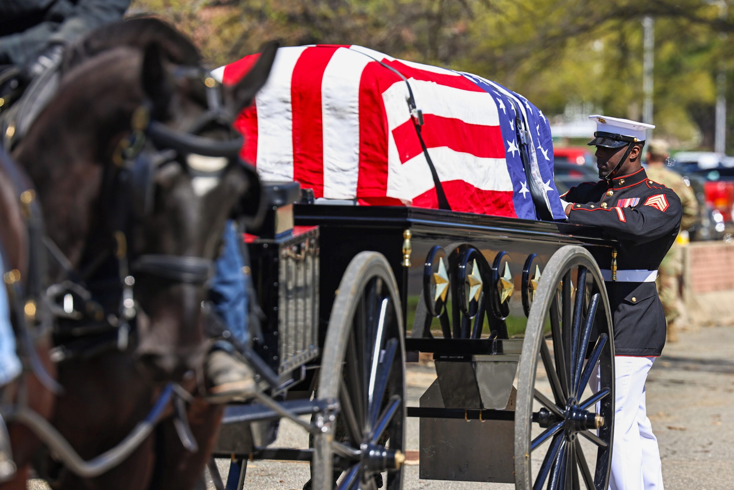 U.S. Army to End Most of Its Ceremonial Horse Programs, Adopts New Strategy