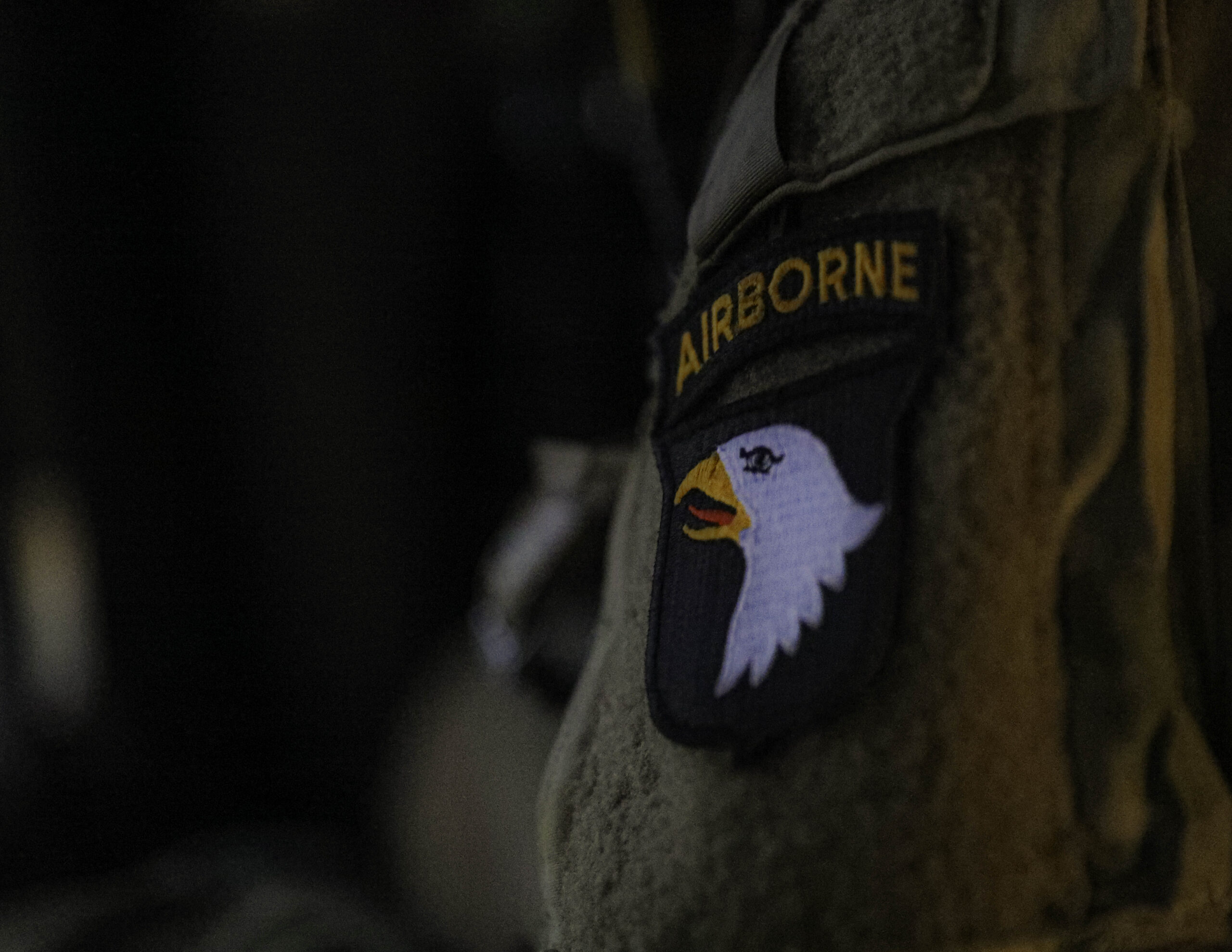 From Old Abe to the Screaming Eagle: How the 101st Airborne Became a Symbol of Courage
