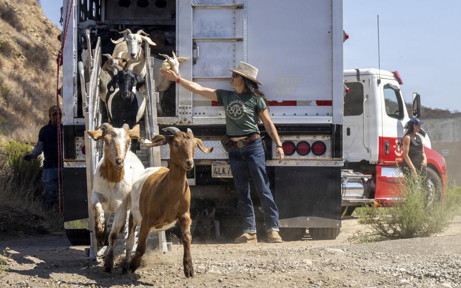 Meet the GOAT Fire Brigade Protecting Marines at Miramar